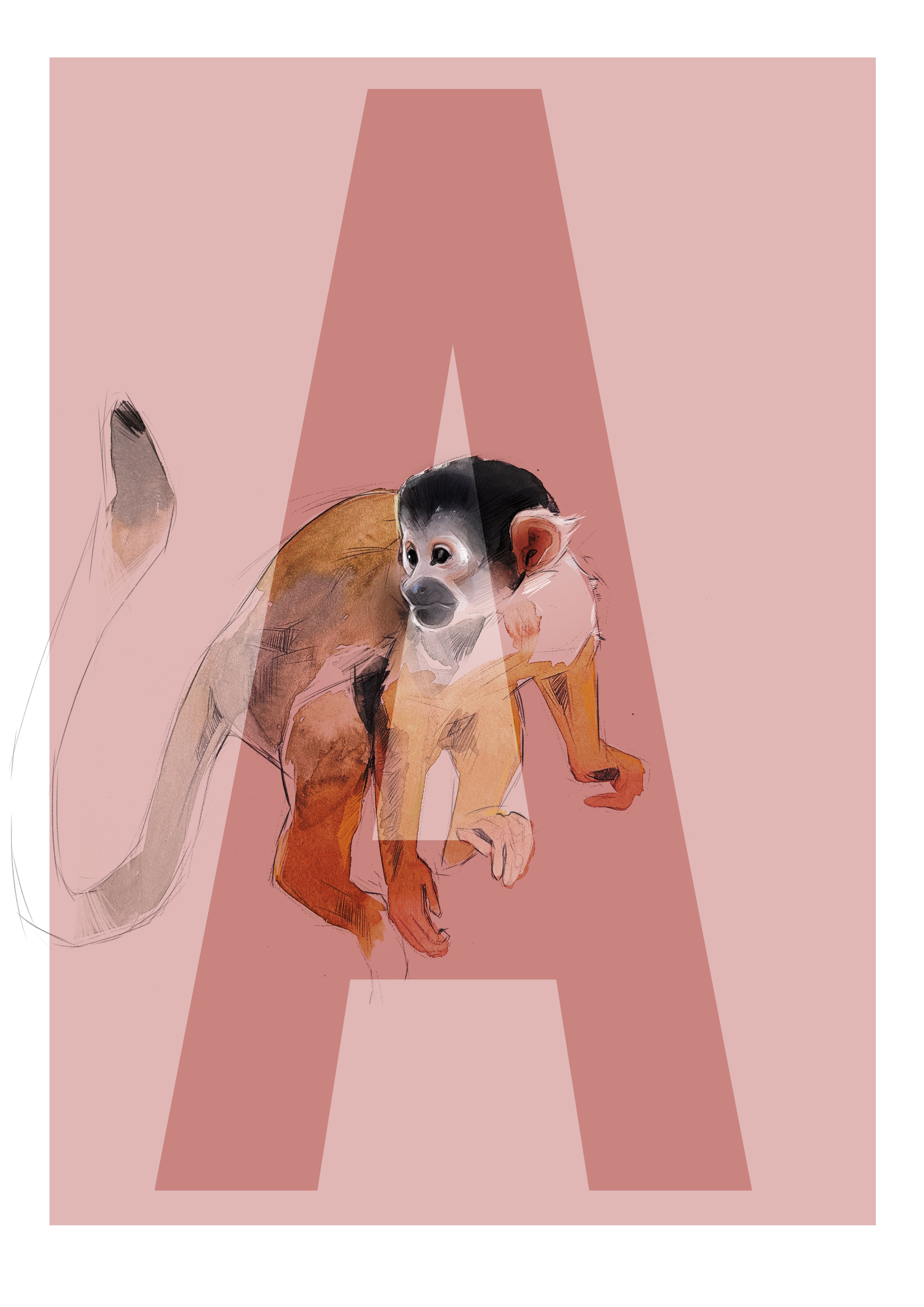 A wie Affe  -  Von Hand Illustriert, gedruckt auf Premium Papier Matt