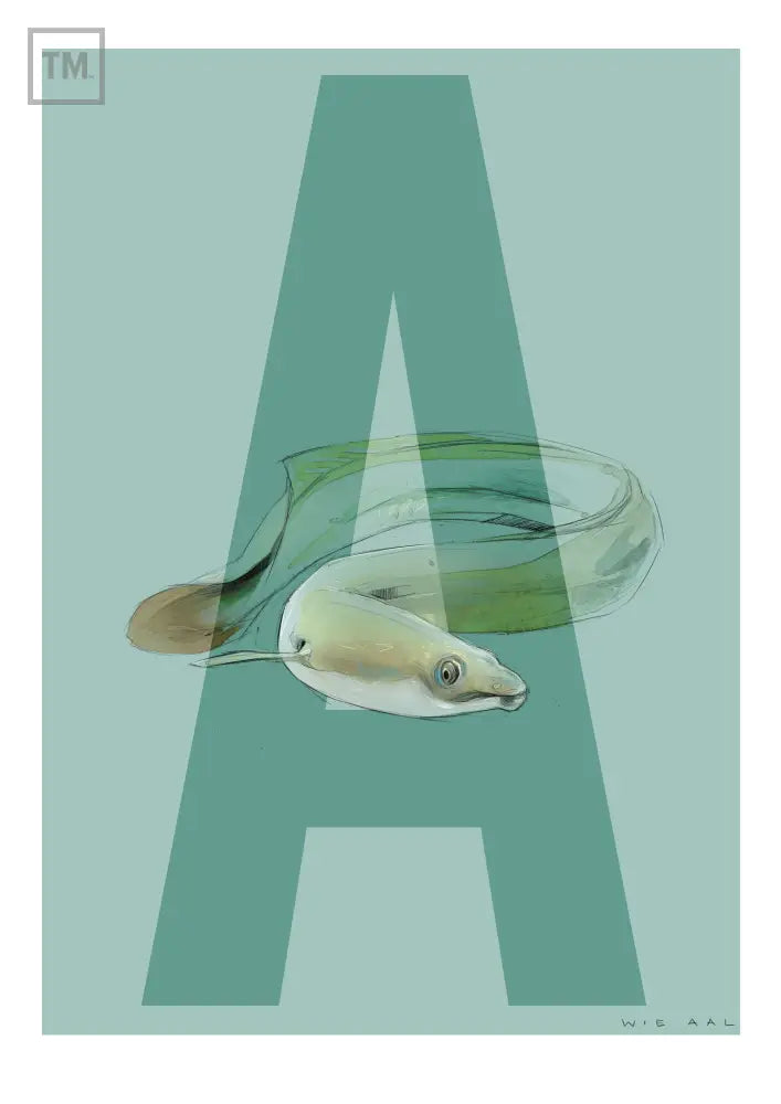 A wie Aal - Von Hand Illustriert gedruckt auf Premium Papier Matt - Print Material