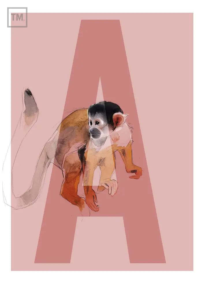 A wie Affe - Von Hand Illustriert gedruckt auf Premium Papier Matt - Print Material
