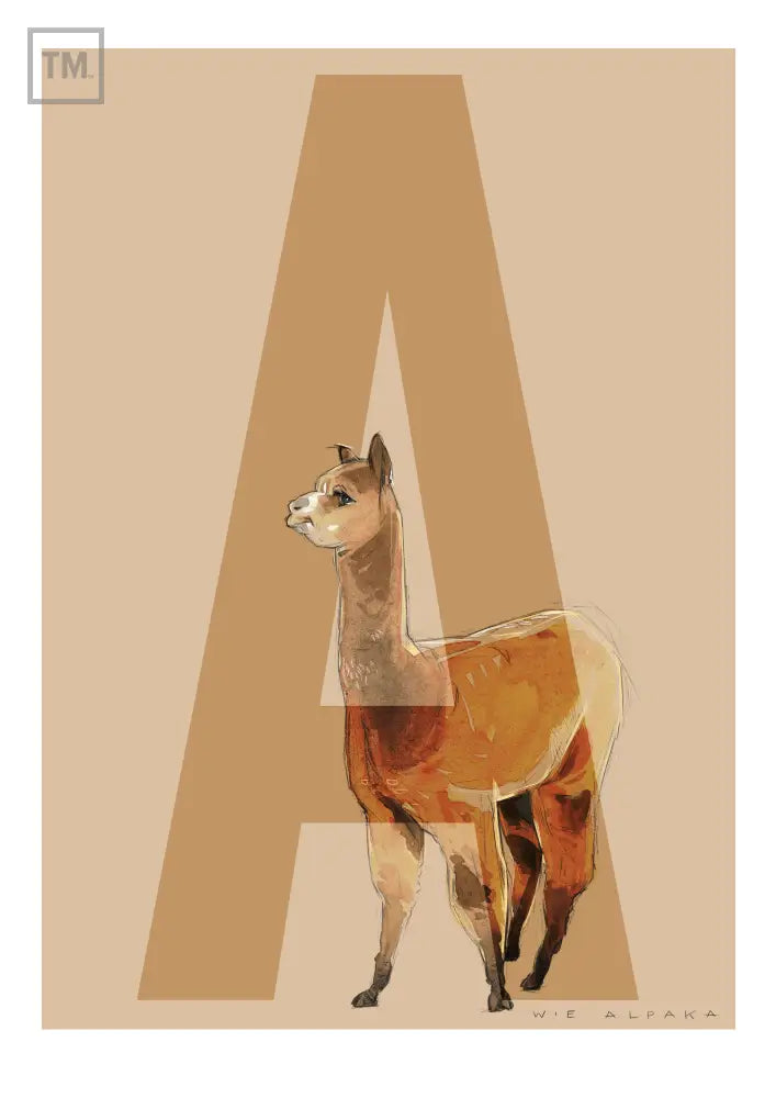 A wie Alpaka - Von Hand Illustriert gedruckt auf Premium Papier Matt Print Material