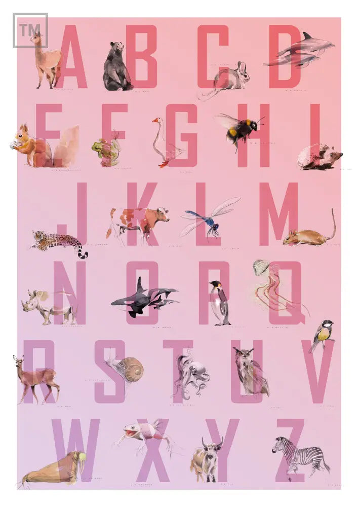 Alphabet Poster A2 - Von Hand Illustriert gedruckt auf Premium Papier Matt (Kopie) - A2 (42 x 59,4 cm) - Print Material