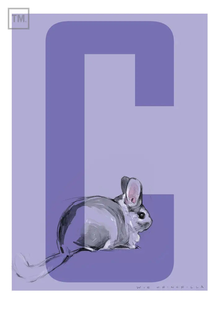C wie Chinchilla - Von Hand Illustriert gedruckt auf Premium Papier Matt Print Material
