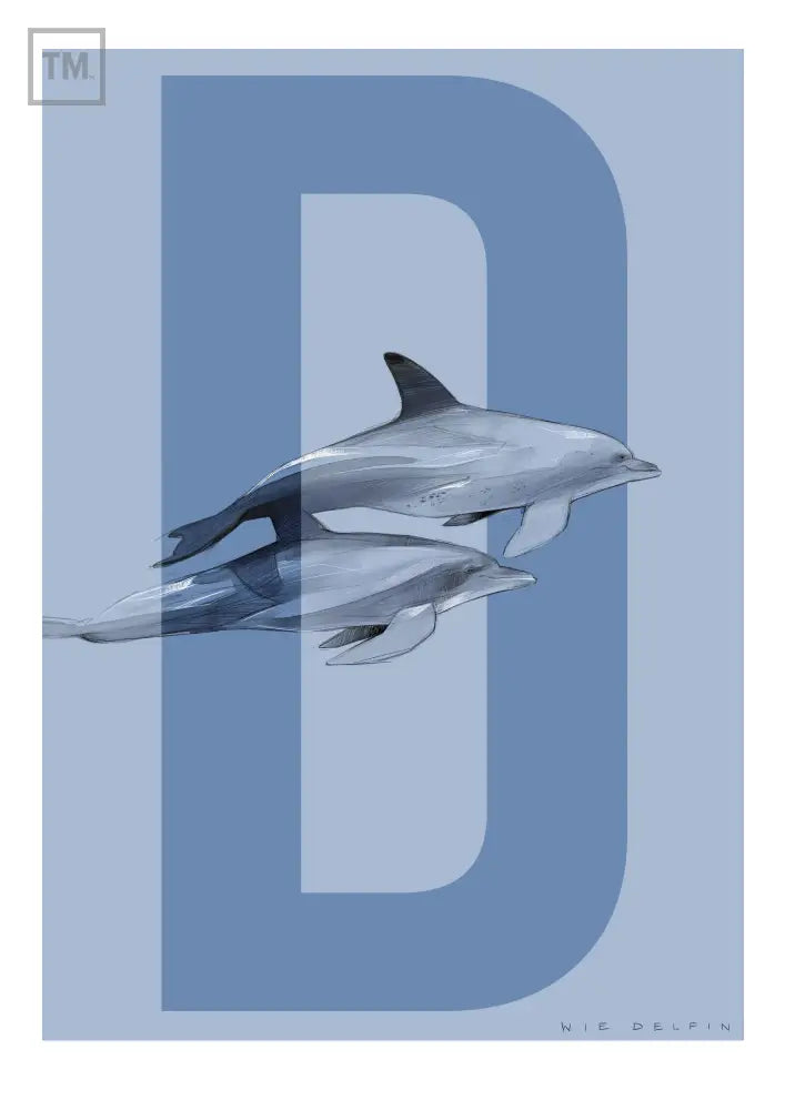 D wie Delfin - Von Hand Illustriert gedruckt auf Premium Papier Matt Print Material