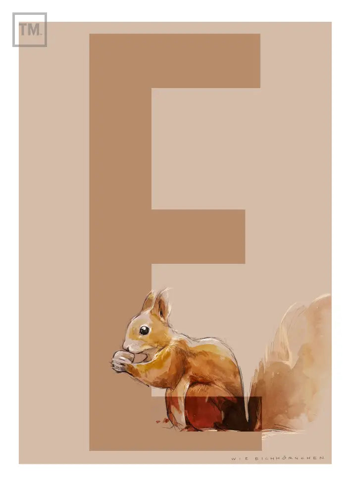 E wie Eichhörnchen - Von Hand Illustriert gedruckt auf Premium Papier Matt Print Material