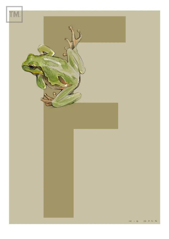 F wie Frosch - Von Hand Illustriert gedruckt auf Premium Papier Matt Print Material