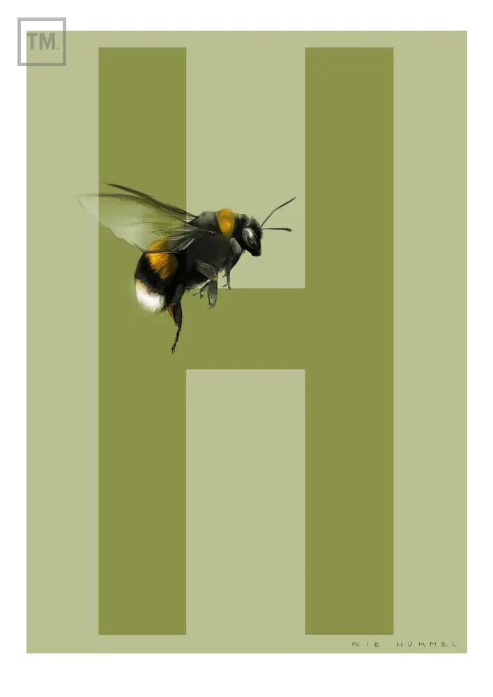H wie Hummel - Von Hand Illustriert gedruckt auf Premium Papier Matt Print Material