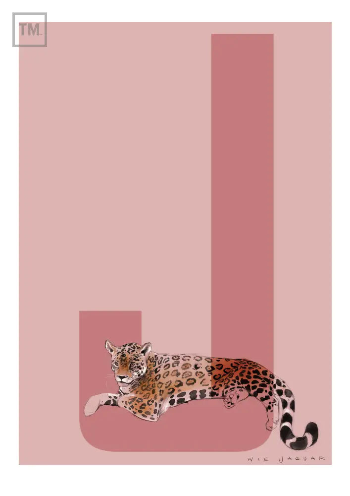 J wie Jaguar - Von Hand Illustriert gedruckt auf Premium Papier Matt Print Material