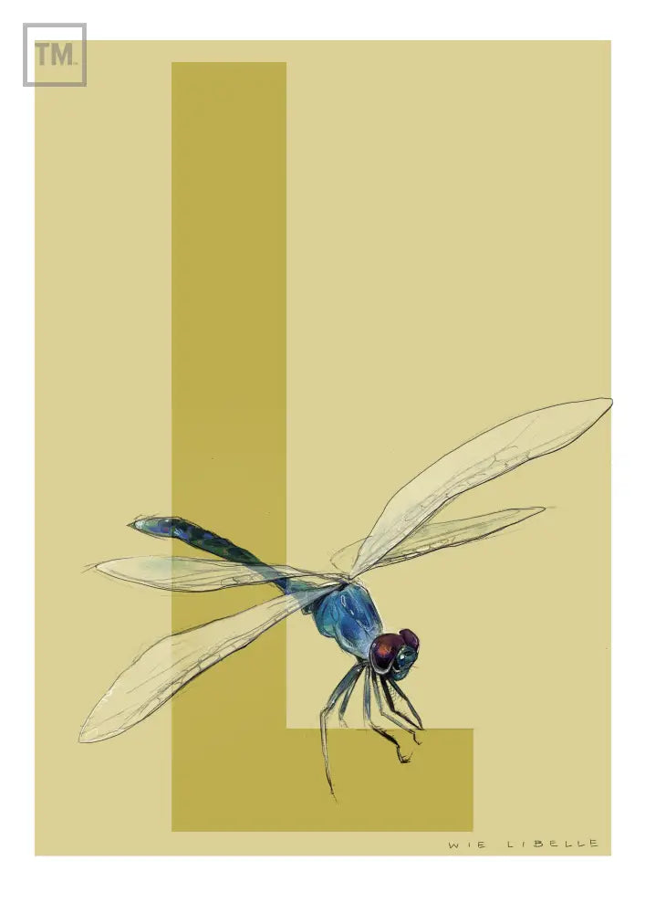 L wie Libelle - Von Hand Illustriert gedruckt auf Premium Papier Matt Print Material