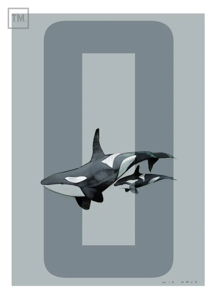 O wie Orca - Von Hand Illustriert gedruckt auf Premium Papier Matt Print Material