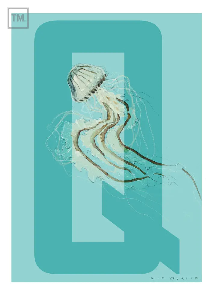 Q wie Qualle - Von Hand Illustriert gedruckt auf Premium Papier Matt Print Material